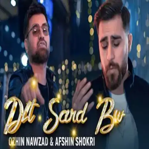 دلت سارد بوو